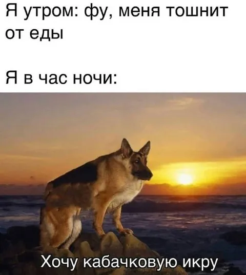 Хочу кабачковую икру ночью