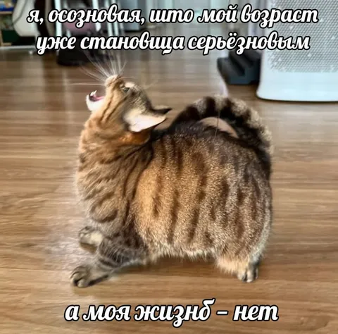 Возраст становится серьёзным, а жизнь нет
