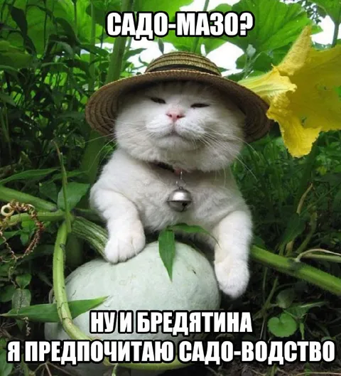 Кот предпочитает садоводство