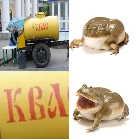 Квас и смеющаяся лягушка