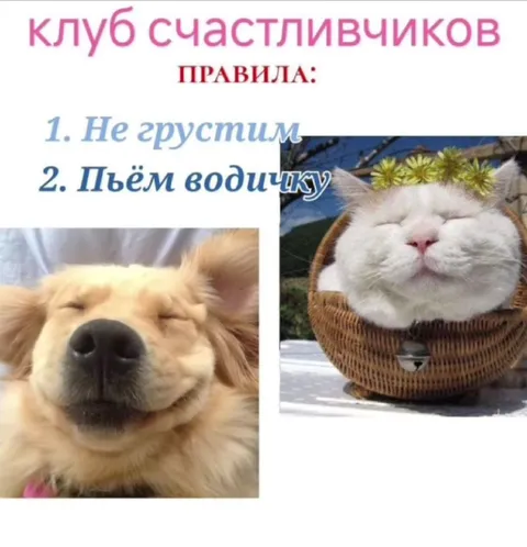 Клуб счастливчиков: пьём водичку