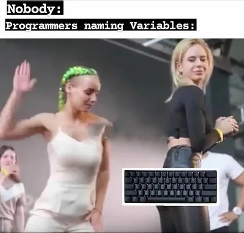 Programmers Naming Variables