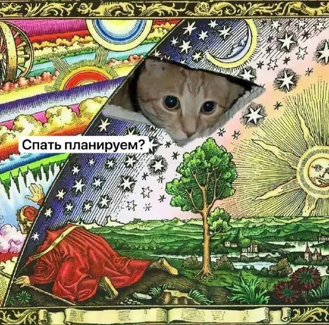 Кот выглядывает из космоса