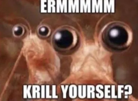 Krill Yourself Shrimp Reaction