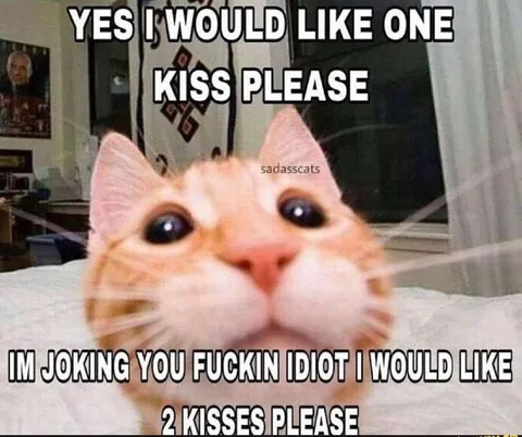Cat Wants Two Kisses