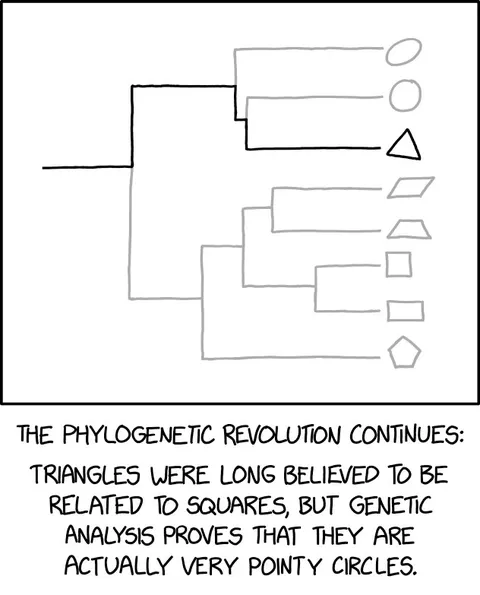 Triangles Are Pointy Circles