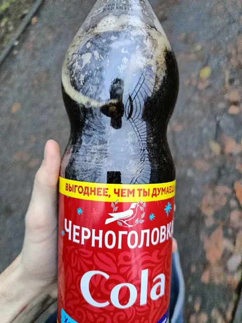 Огромная бутылка Чёрноголовки
