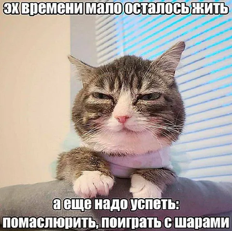 Мало осталось жить