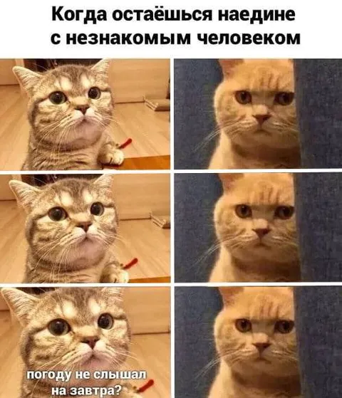 Неловкая тишина с незнакомцем