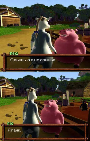 Свинья говорит, что она панк