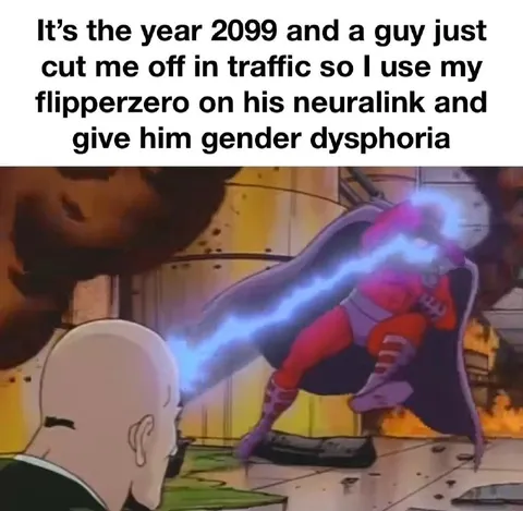 Flipper Zero Gender Dysphoria