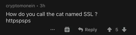 SSL Cat Pun