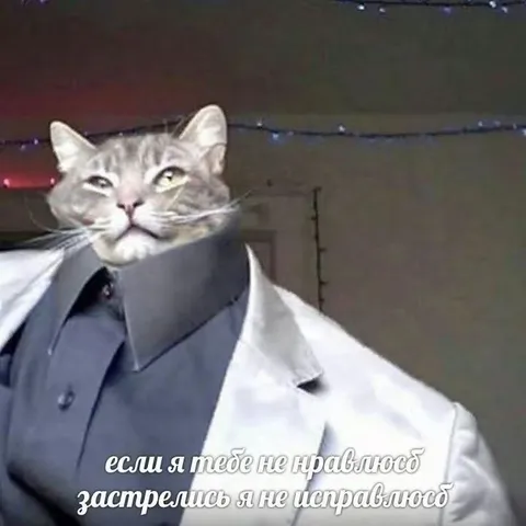 Если не нравлюсь — застрелись