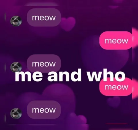 Me and Who Meowing
