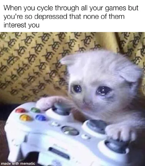 Depressed Cat Cycling Through Games