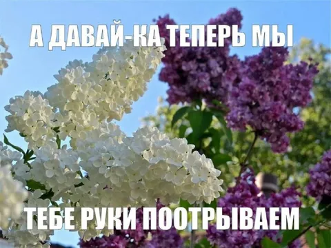 Давай-ка теперь мы тебе руки поотрываем