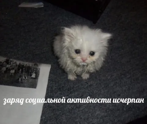 Заряд социальной активности исчерпан