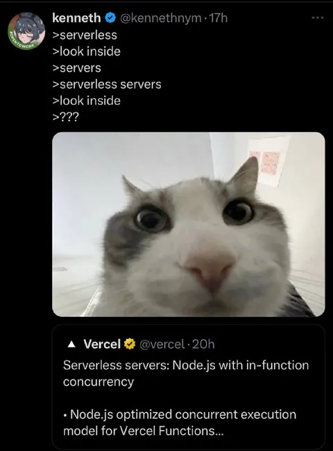 Serverless Servers Cat