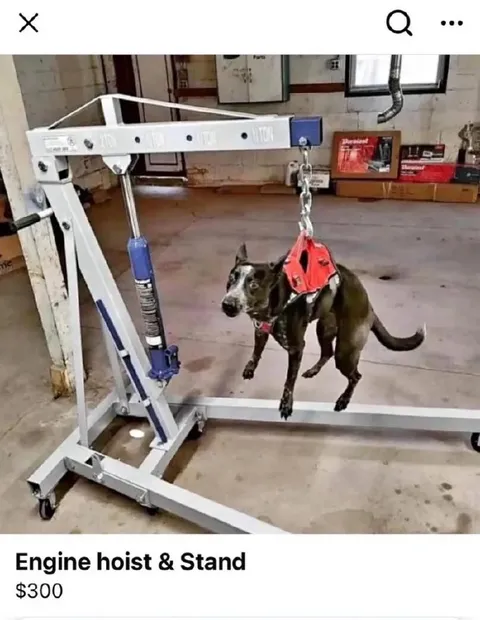 Dog Engine Hoist Listing