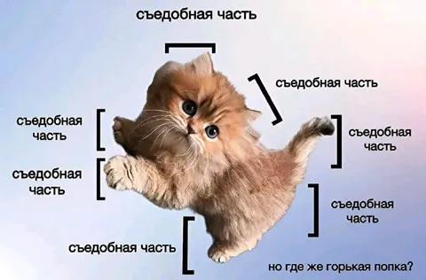 Съедобные части котёнка