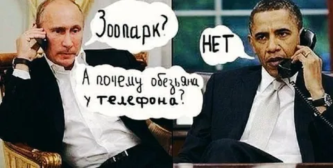 Почему обезьяна у телефона