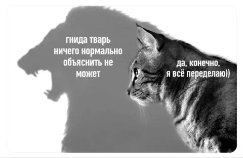 Когда начальник всё объясняет