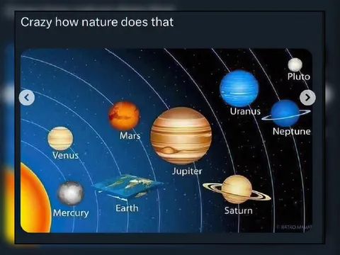 Crazy How Nature Does That