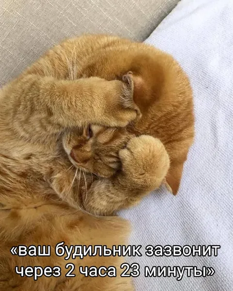 Будильник через два часа