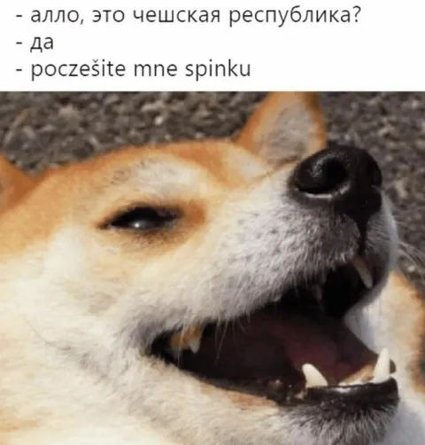 Pes volá do Česka