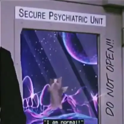 Cat in the Secure Psychiatric Unit