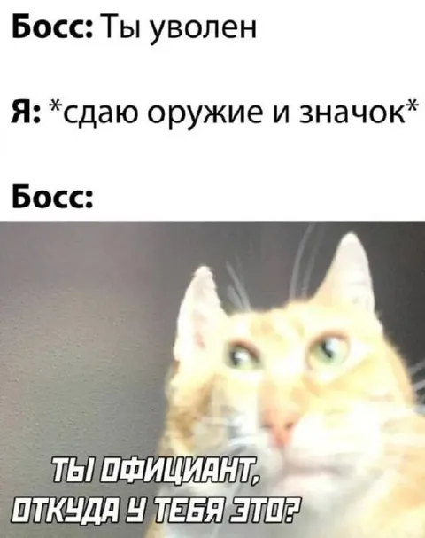 Официант с оружием и значком
