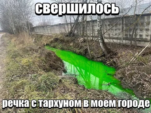 Речка с тархуном в городе