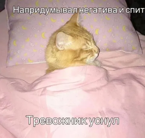 Тревожник уснул