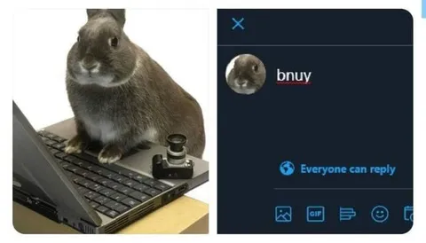Rabbit Typing Bunny Wrong