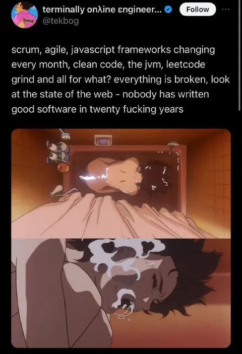 Everything Is Broken Software Rant