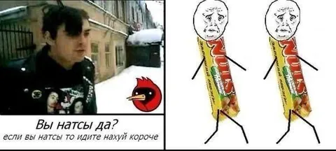 Вы натсы, да?