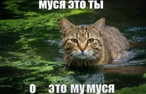 Муся это ты