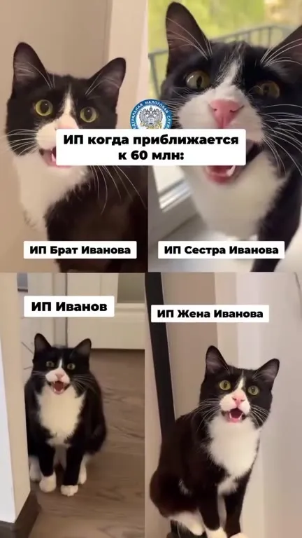 ИП Иванов и вся его семья
