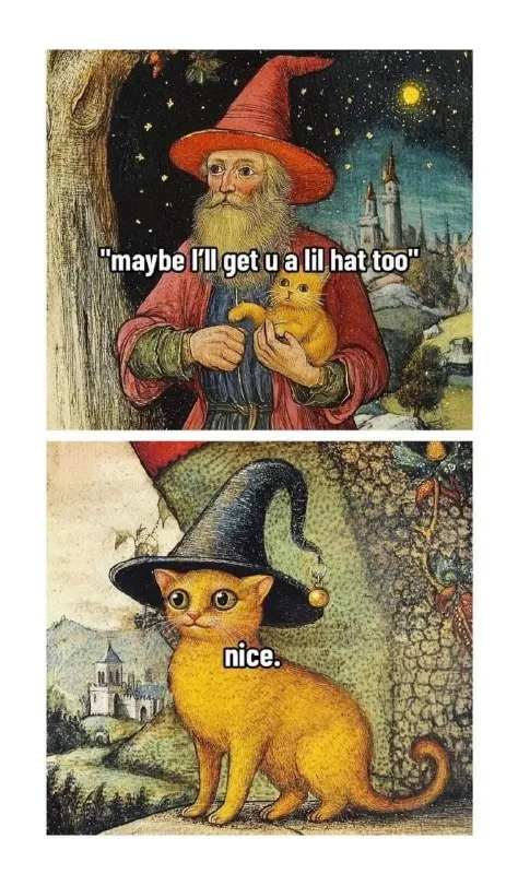 Wizard Cat Gets a Hat