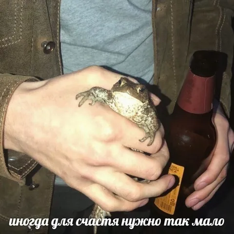 Для счастья нужно так мало