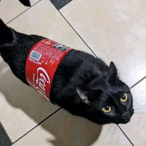 Gato vestido de Coca-Cola