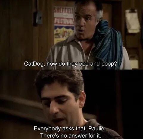 CatDog Has No Answer