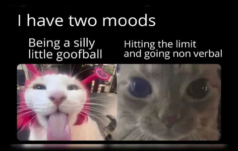 I Have Two Moods Cat