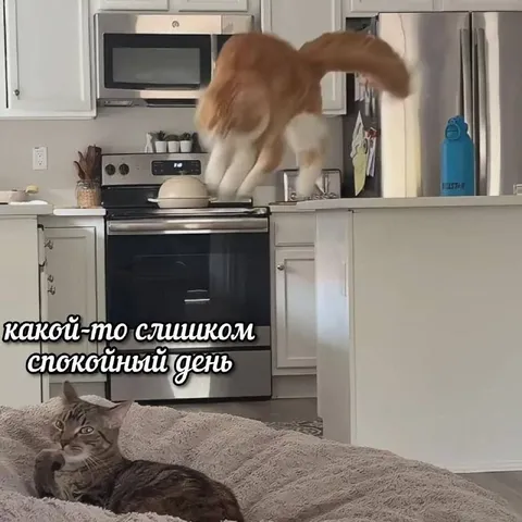 Слишком спокойный день