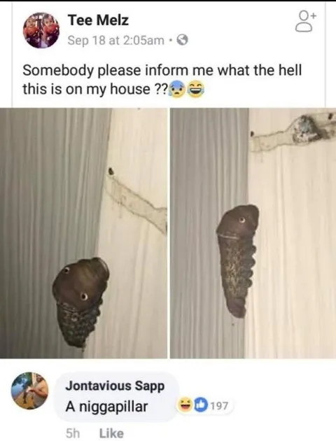 What the Hell Is on My House