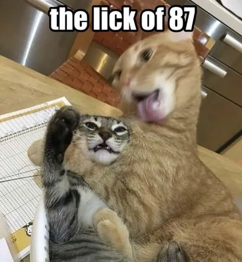 The Lick of 87