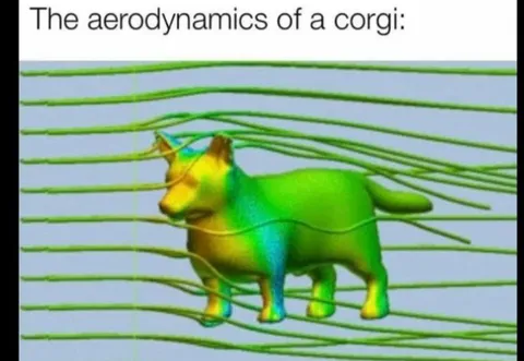 The aerodynamics of a corgi