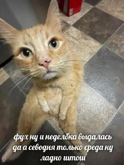 Ну и неделька выдалась