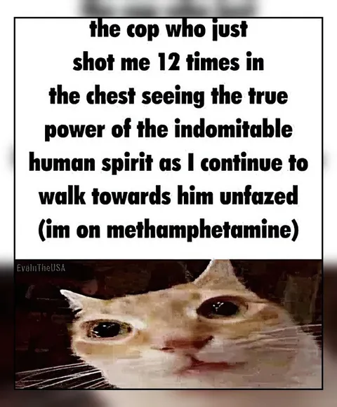 Indomitable Spirit on Meth
