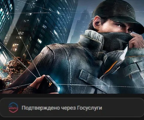 Подтверждено через Госуслуги